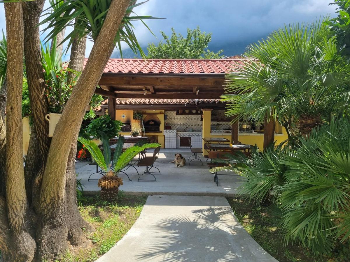 Bed and Breakfast Il Ruscello Maratea Exterior foto