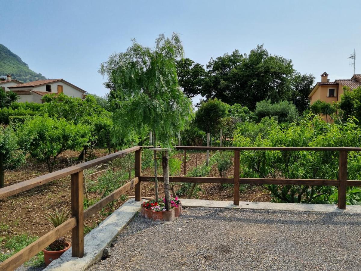 Bed and Breakfast Il Ruscello Maratea Exterior foto